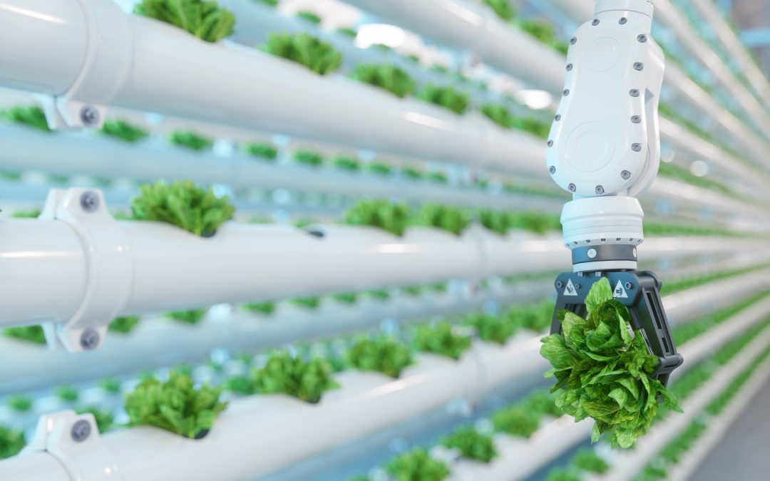 Feeding the Future: How Emerging Technology is Reshaping the Global Food Chain  